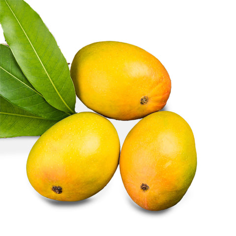 Devgad Alphonso