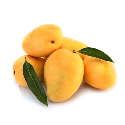 Gir Kesar