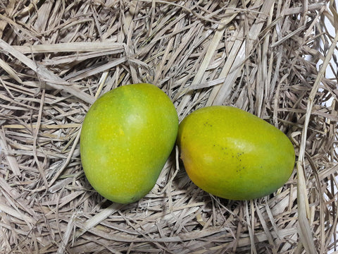 Queen Combo (Badami Mangoes + Shahi Litchi)